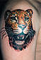 Tattoo Galerie - Motive - Tierwelt -