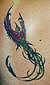 Tattoo Galerie - Motive - Tierwelt -