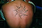 Tattoo Galerie - Motive - Diverses -