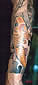 Tattoo Galerie - Motive - Karpfen - 