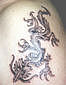 Tattoo Galerie - Motive - Diverses -