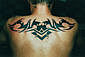 Tattoo Galerie - Motive - Tribal - 