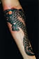 Tattoo Galerie - Motive - Karpfen - 