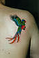 Tattoo Galerie - Motive - Tierwelt -