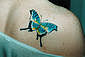 Tattoo Galerie - Motive - Tierwelt -
