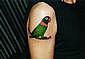 Tattoo Galerie - Motive - Tierwelt -