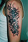 Tattoo Galerie - Motive - Wassermann - 