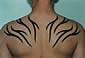Tattoo Galerie - Motive - Tribal - 