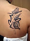 Tattoo Galerie - Motive - Diverses -