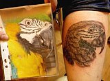 Tattoo Galerie - Motive - Portrait -