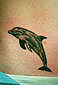 Tattoo Galerie - Motive - Delphin - 