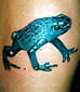 Tattoo Galerie - Motive - Frosch - 