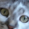 Benutzeravatar