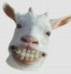 Benutzeravatar