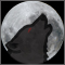 Benutzeravatar