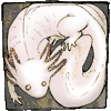 Benutzeravatar