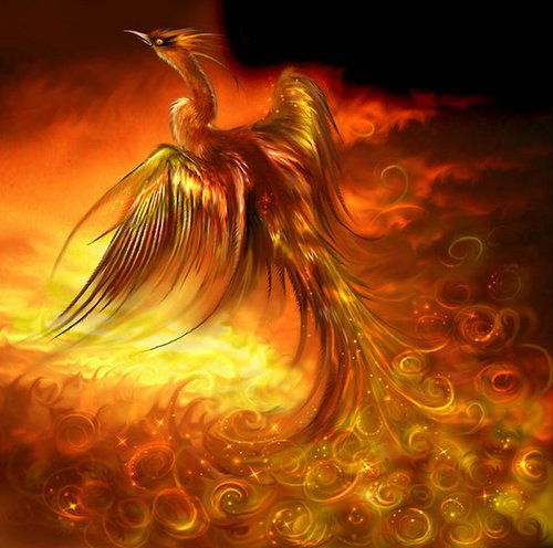 Phoenix10.jpg