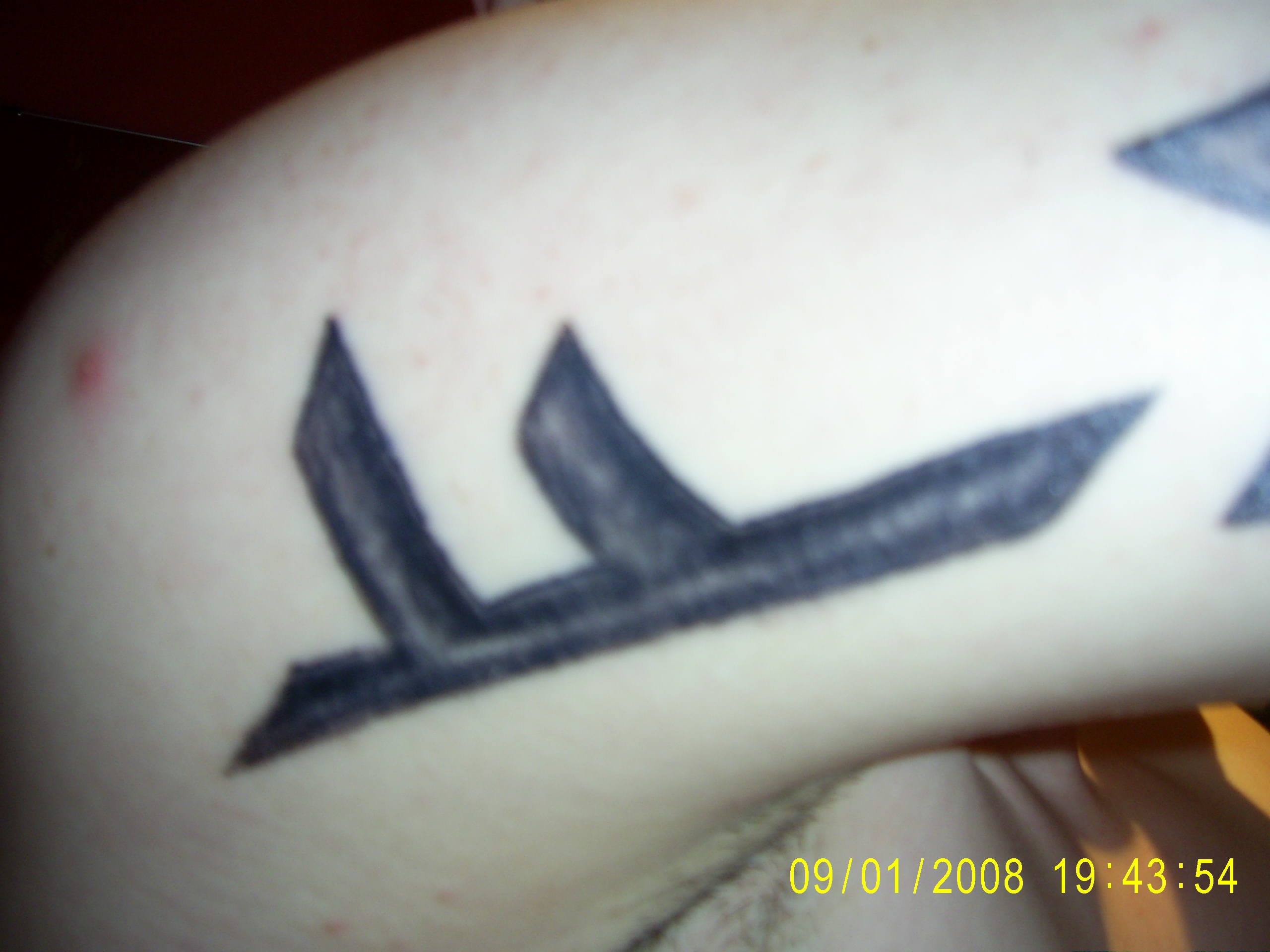 PIC_0007.JPG