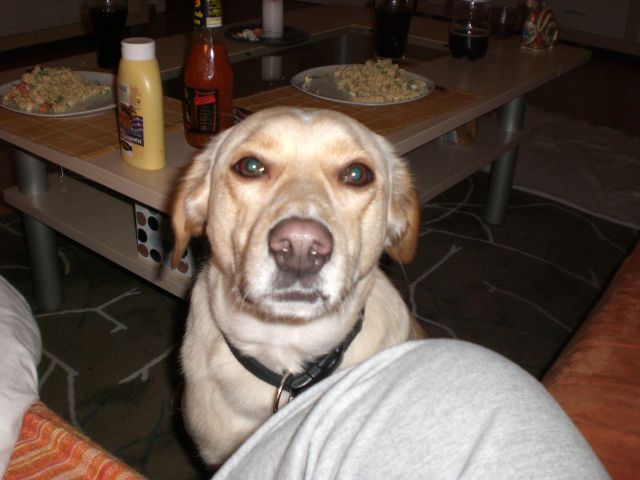 CIMG0116.JPG