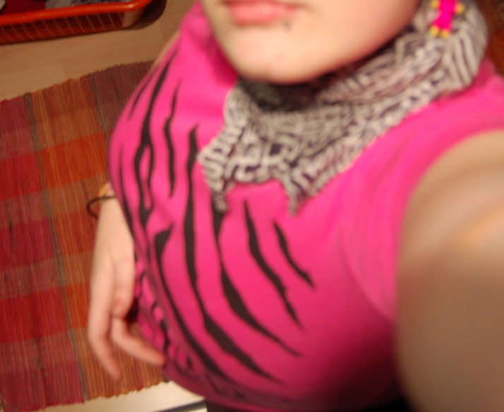 zebra.jpg