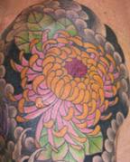 Chrysantheme 2.JPG