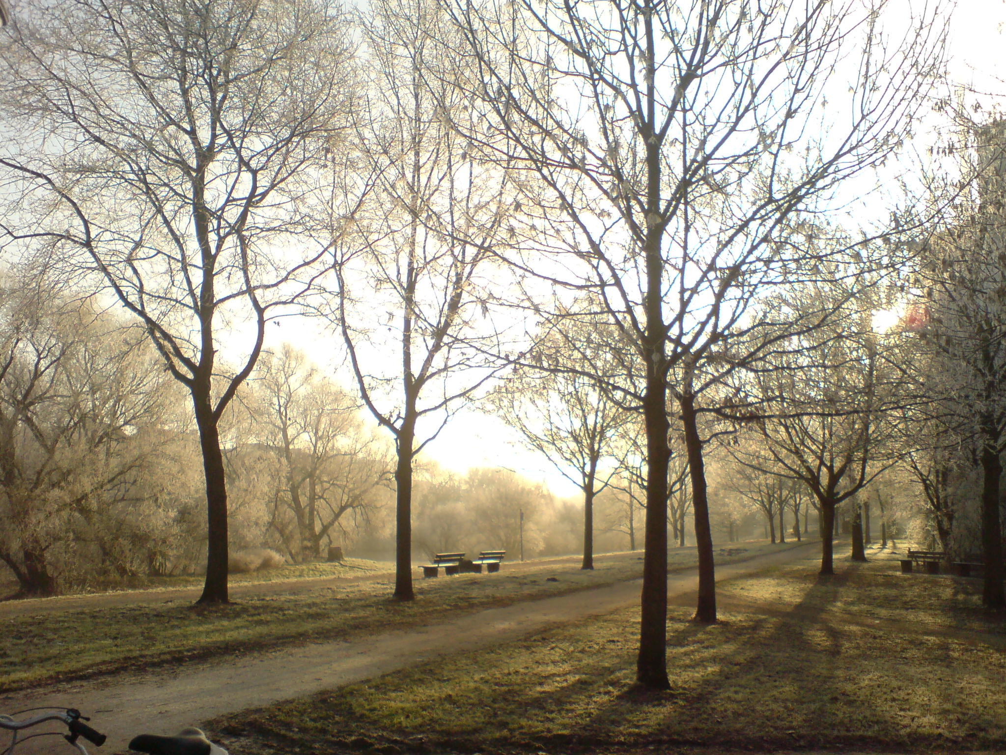 DSC00062.JPG