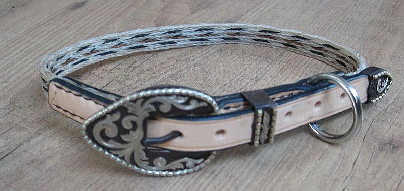 Halsband 1.jpg