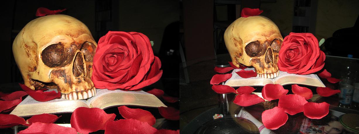 skullnrose.JPG