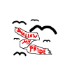 swallow 11.JPG