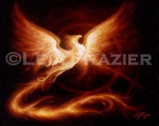 phoenix a.jpg