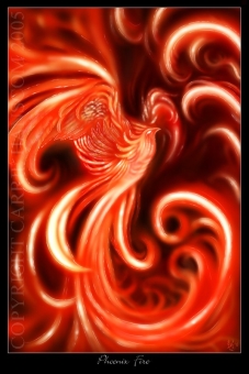 phoenixDA900a.jpg