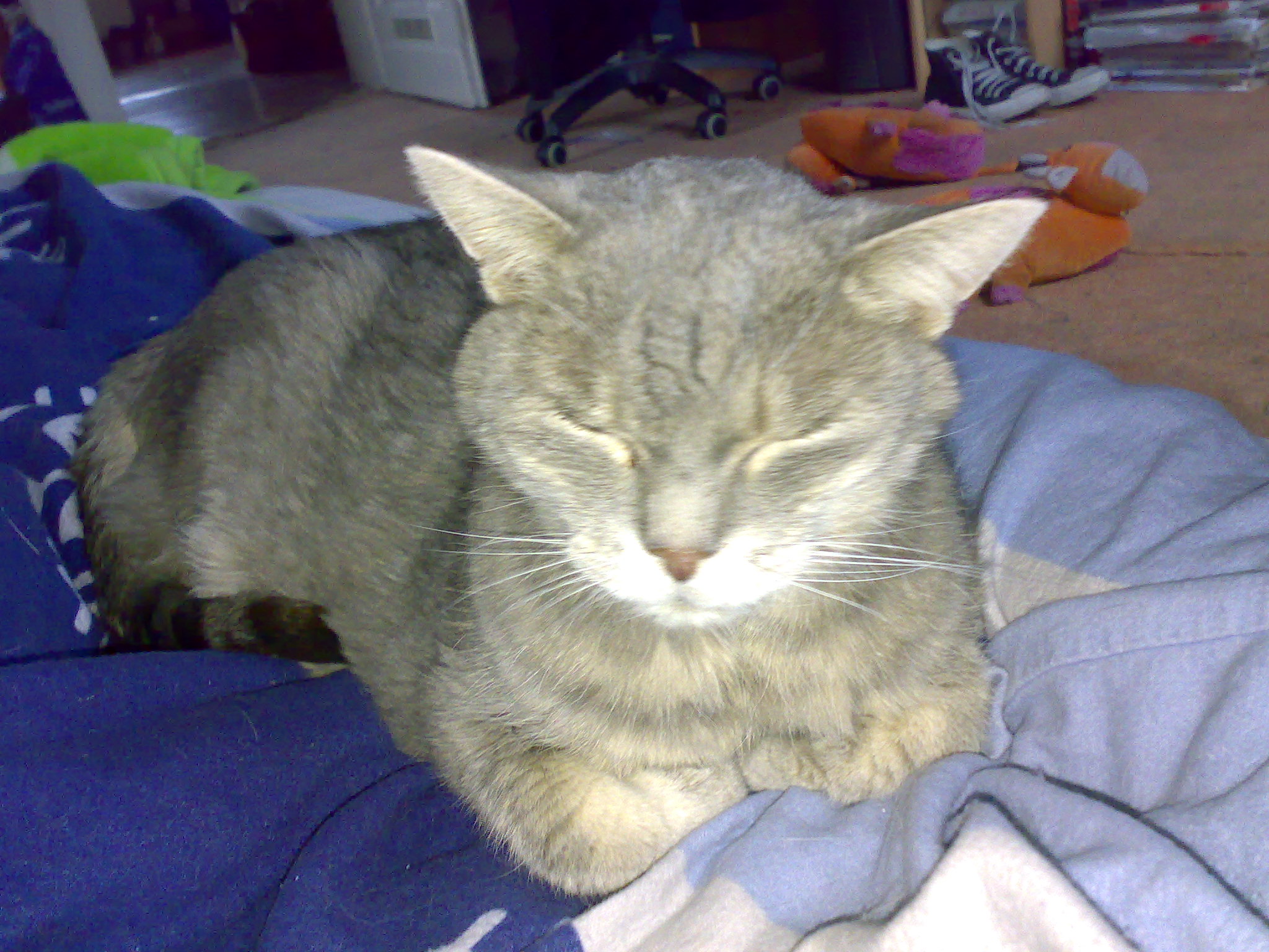 21022008128.jpg