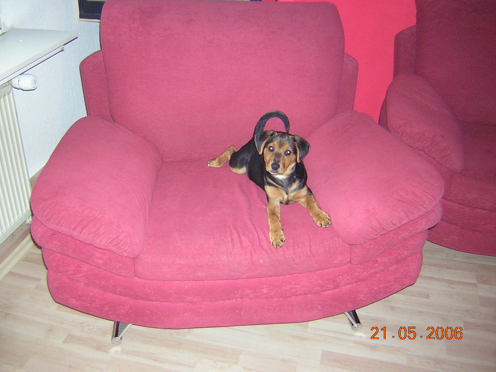 DSCN2399.JPG