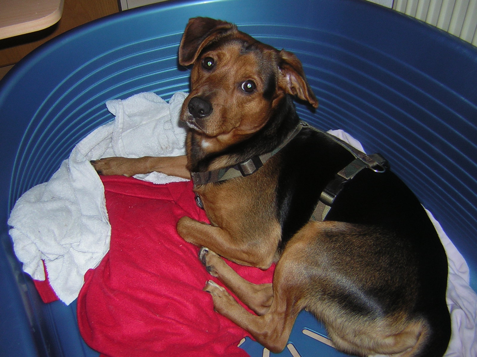 DSCN5635.JPG