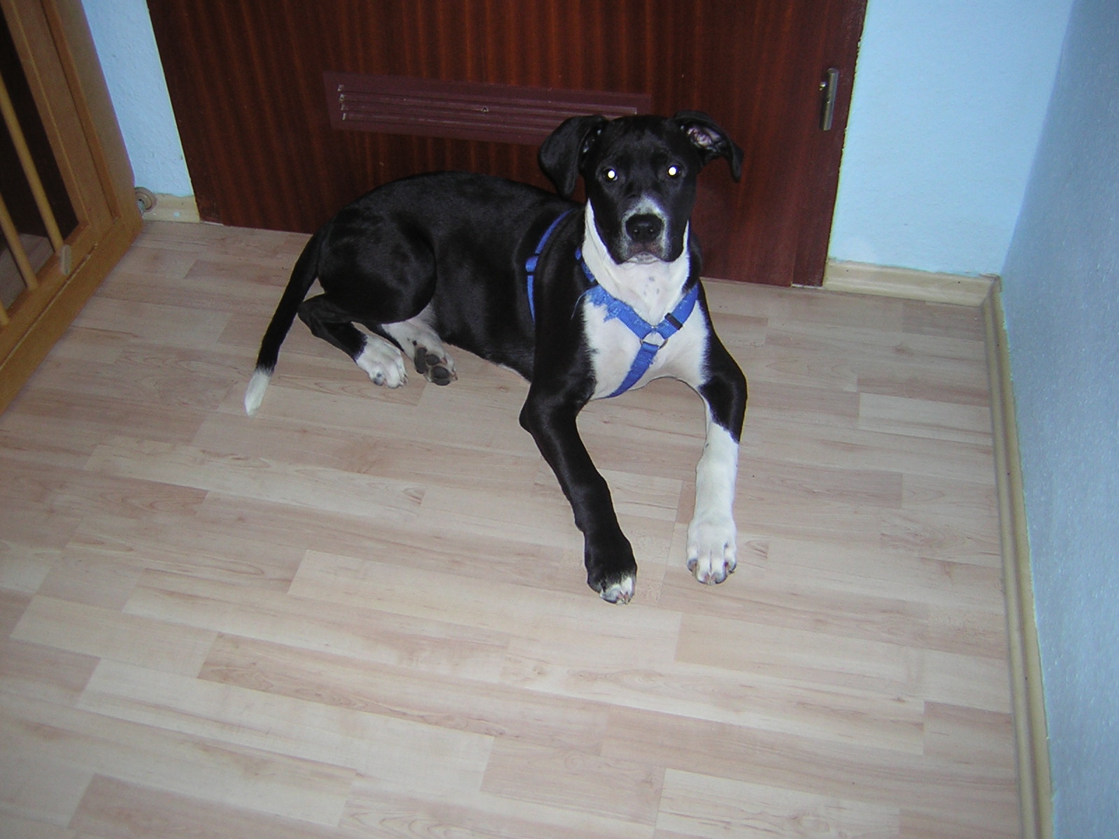 DSCN5490.JPG