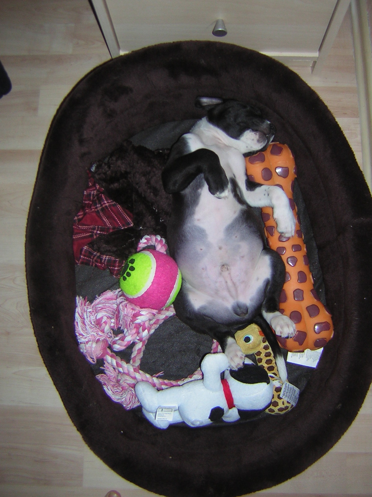 DSCN5003.JPG