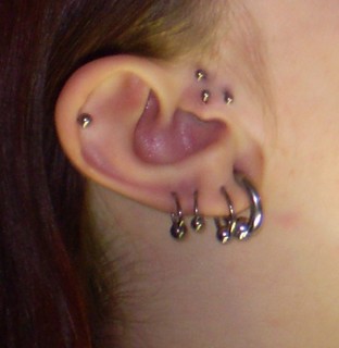 tragus.jpg