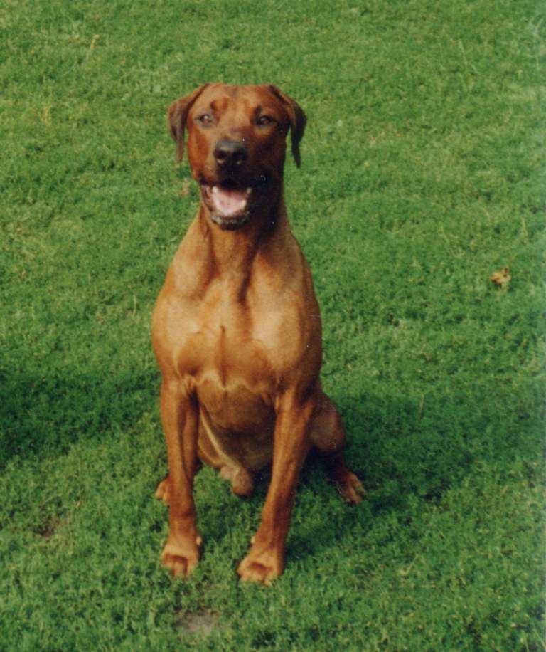 Bild-03 klein.JPG