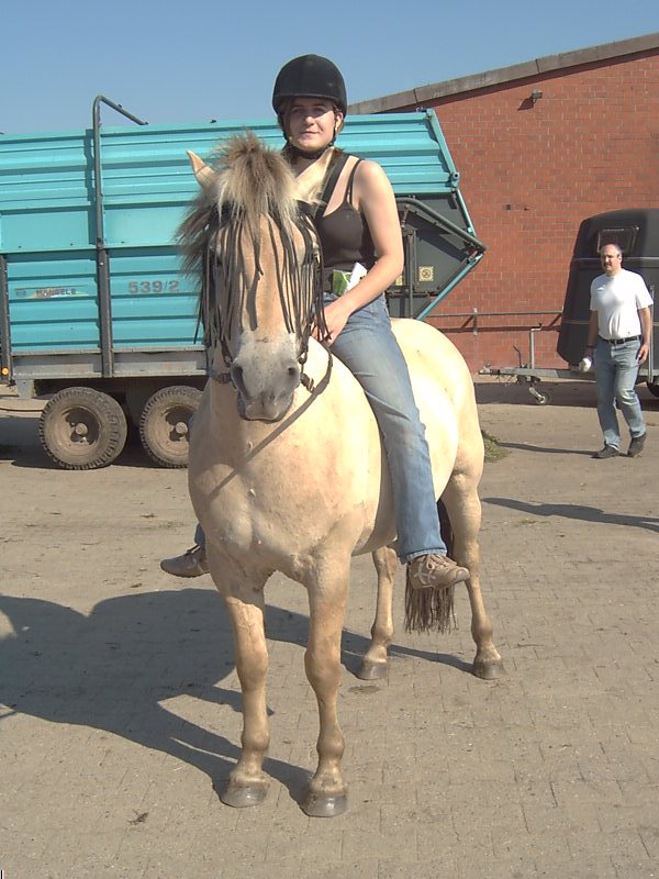 Bild 046.jpg