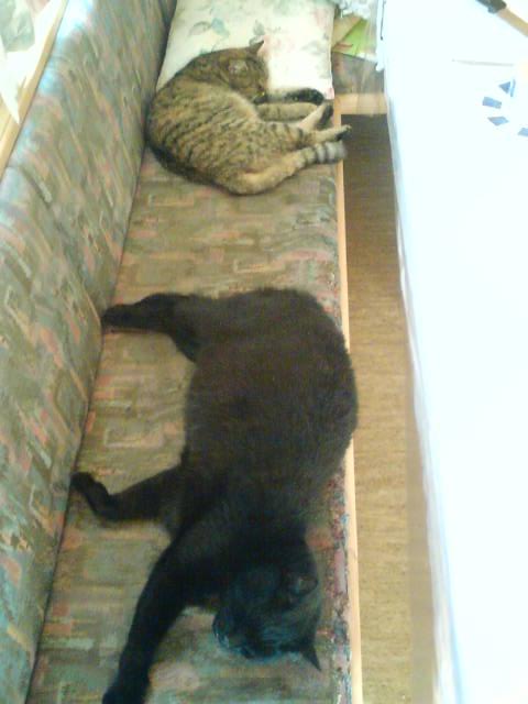 sandy und merlin.JPG