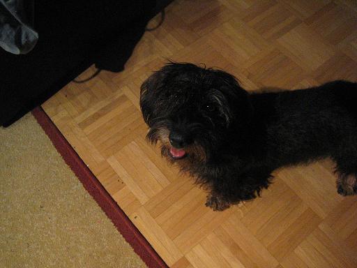 IMG_2378.JPG
