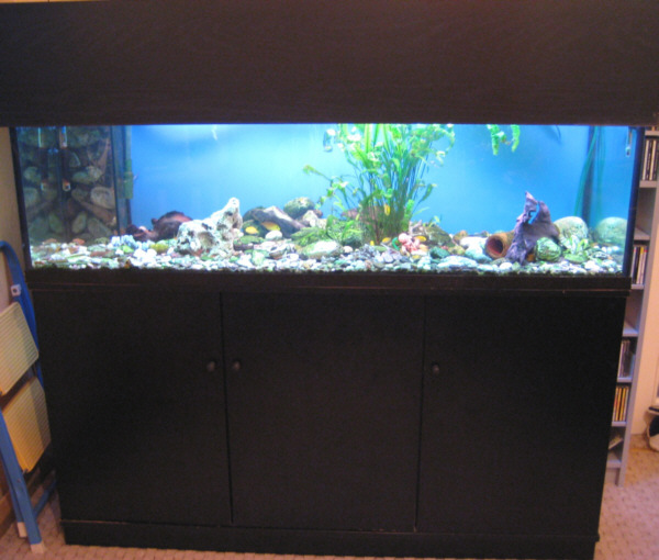 aquarium.jpg