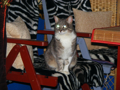 DSCF0206.jpg