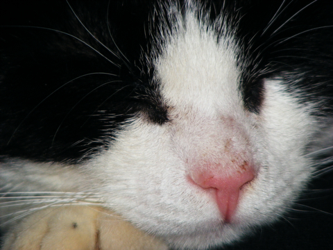 DSCF0318.jpg