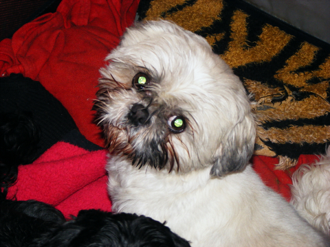 DSCF0245.jpg