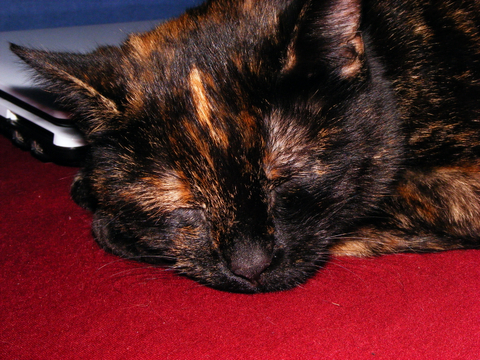 DSCF0070.jpg