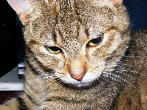 DSCF0321.jpg