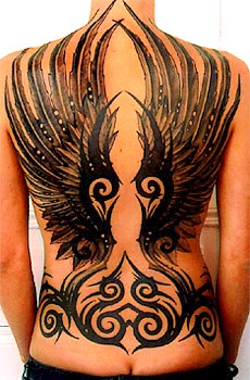 valentin_steinmann_wings2_150_960.jpg