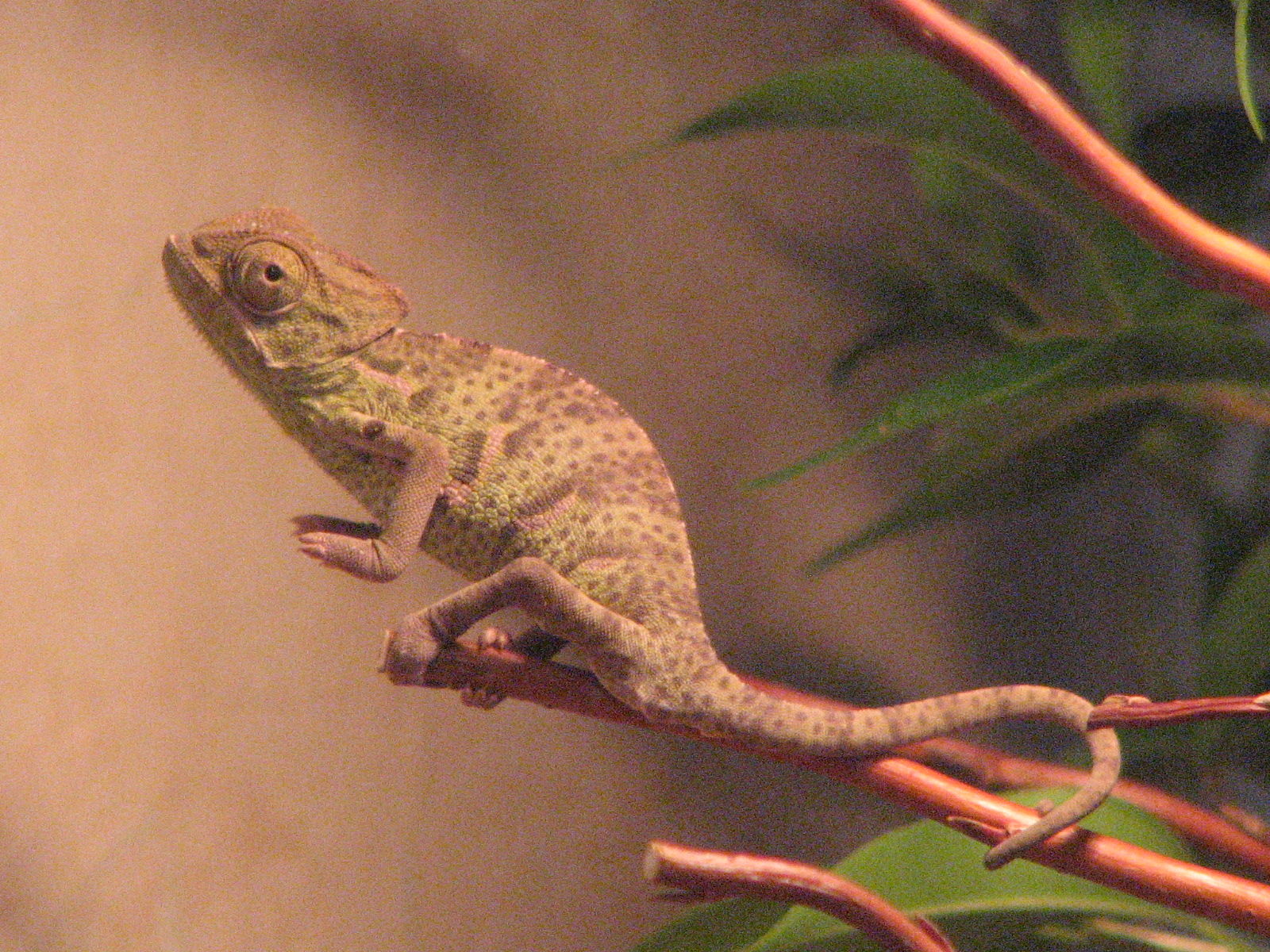 IMG_1505.JPG