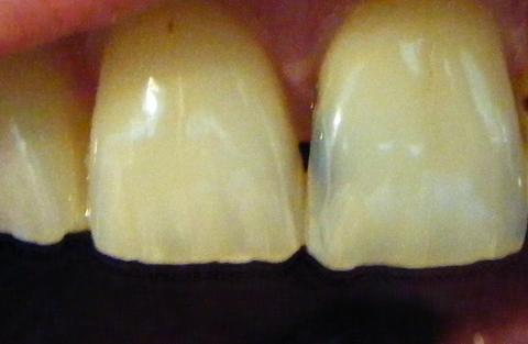 DSCF0439.jpg